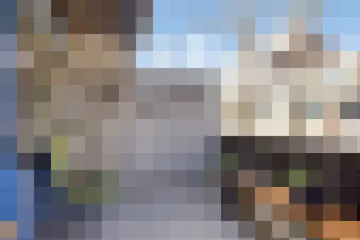 Gildenburg 209 Deventer thumbnail 17
