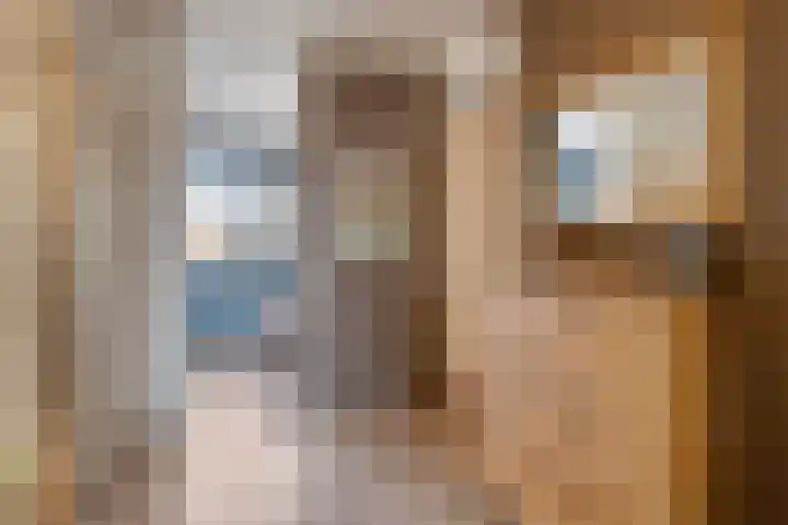 Gildenburg 209 Deventer thumbnail 19