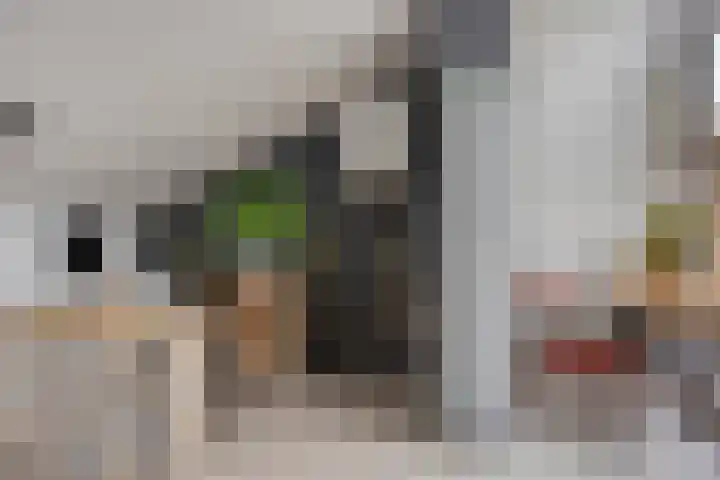 Gildenburg 209 Deventer thumbnail 31