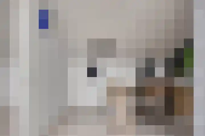 Gildenburg 209 Deventer thumbnail 34