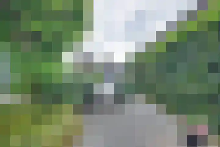 Gildenpad 2 Zevenaar thumbnail 21