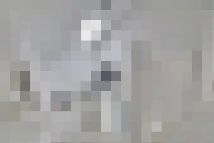Gildenpad 2 Zevenaar thumbnail 25