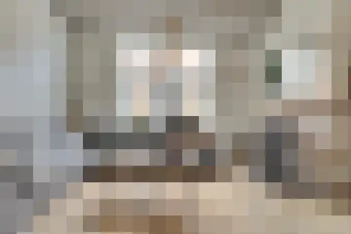 Gildenstraat 5 Tholen thumbnail 8
