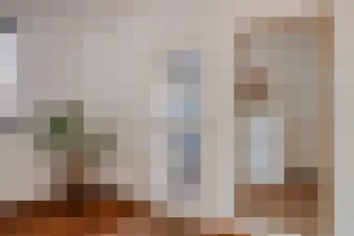 Gildepad 2 Haaren thumbnail 12