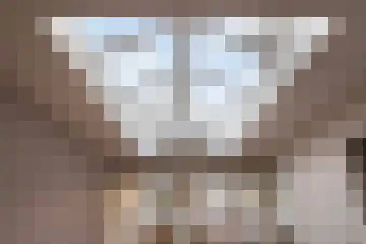 Gildepad 2 Haaren thumbnail 14