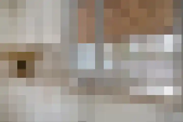 Gildepad 2 Haaren thumbnail 19