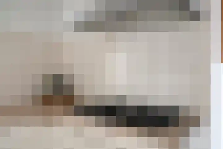 Gildepad 2 Haaren thumbnail 20