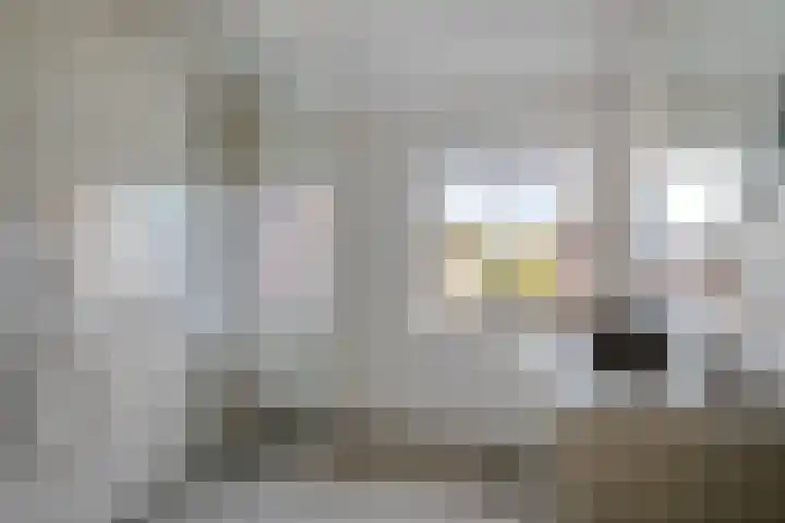 Gildepad 2 Haaren thumbnail 31