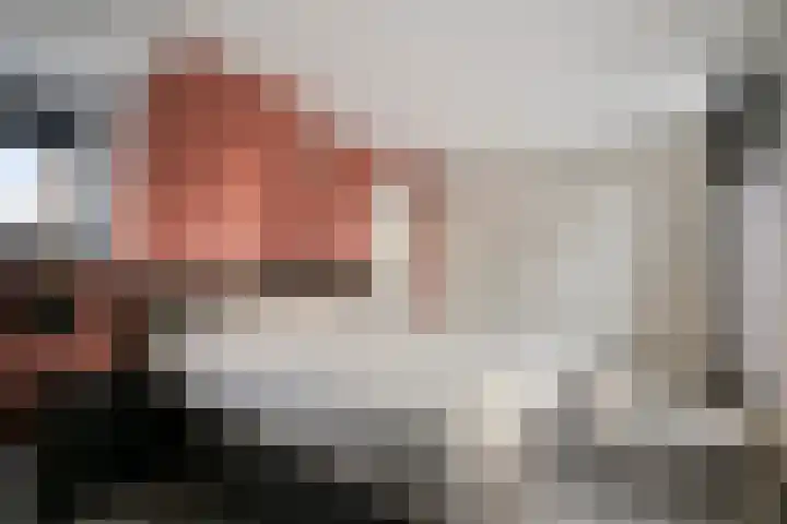 Gildepad 2 Haaren thumbnail 36