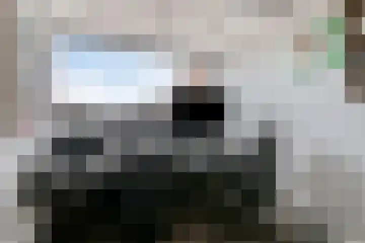 Gildepad 2 Haaren thumbnail 37