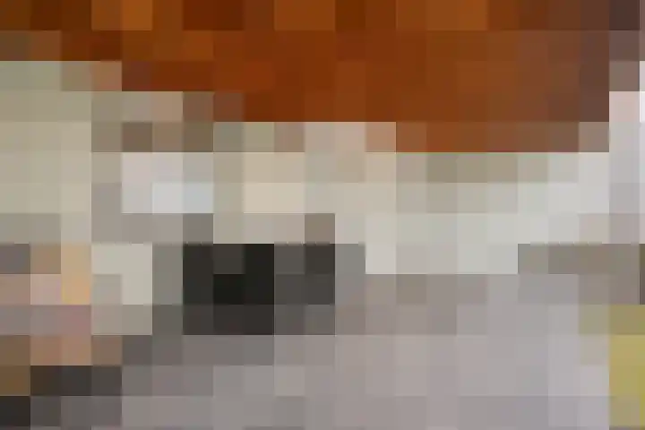 Gildepad 2 Haaren thumbnail 41