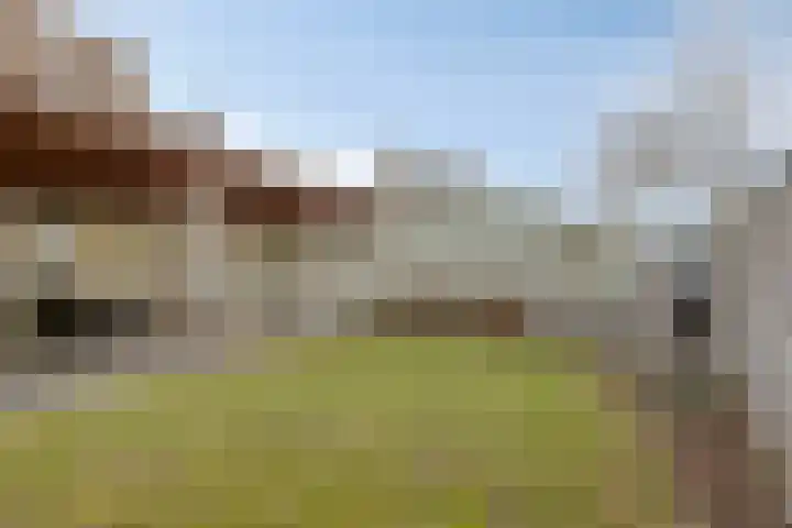 Gildepad 2 Haaren thumbnail 43