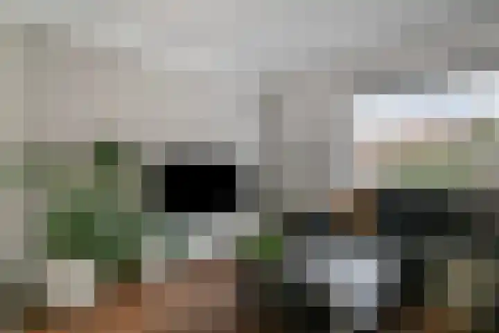 Gildepad 2 Haaren thumbnail 9