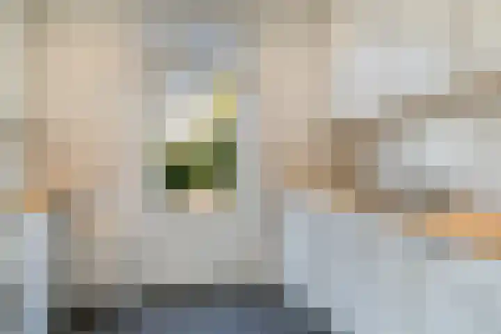 Gildestraat 26 Geldrop thumbnail 29