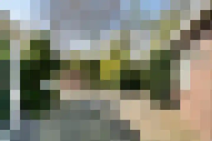 Gildestraat 26 Geldrop thumbnail 30