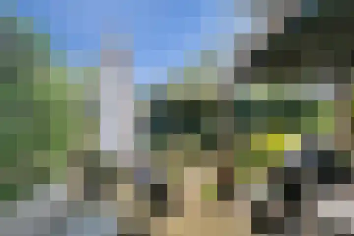 Gildestraat 26 Geldrop thumbnail 32