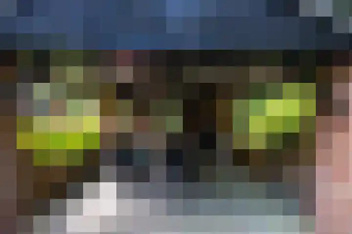 Gilzerbaan 471 Tilburg thumbnail 17