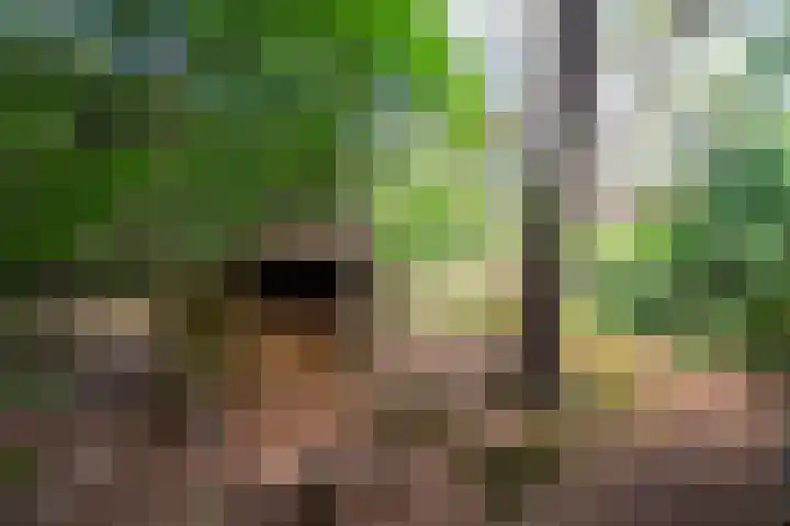 Gilzerbaan 471 Tilburg thumbnail 22