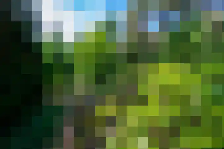 Gilzerbaan 471 Tilburg thumbnail 24