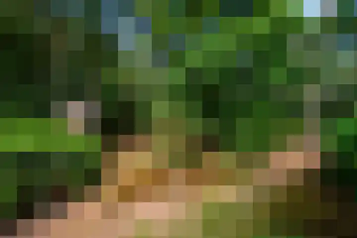Gilzerbaan 471 Tilburg thumbnail 4