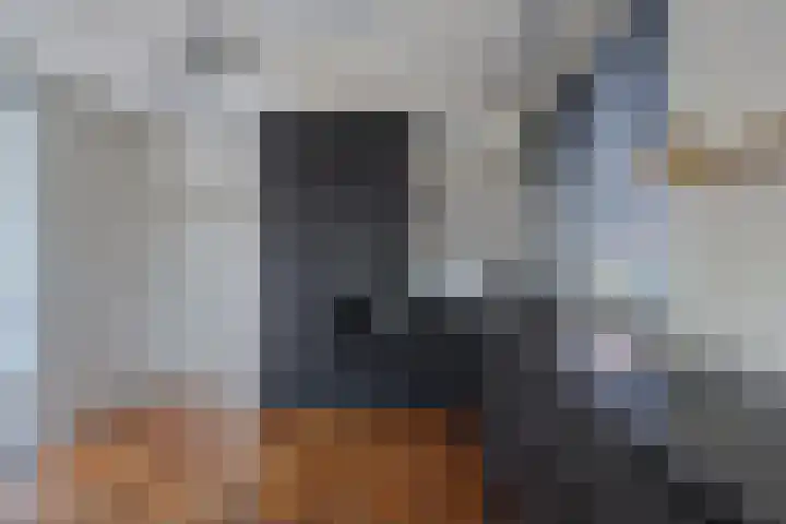 Gilzeweg 10 Chaam thumbnail 16