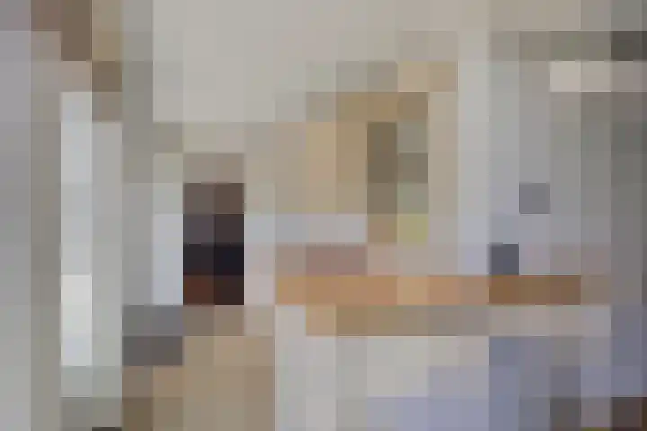 Gilzeweg 10 Chaam thumbnail 23
