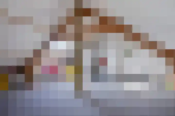 Gilzeweg 10 Chaam thumbnail 36