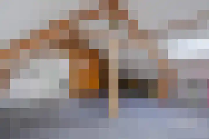 Gilzeweg 10 Chaam thumbnail 37