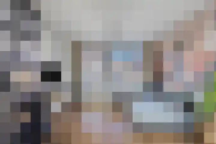 Gilzeweg 10 Chaam thumbnail 8