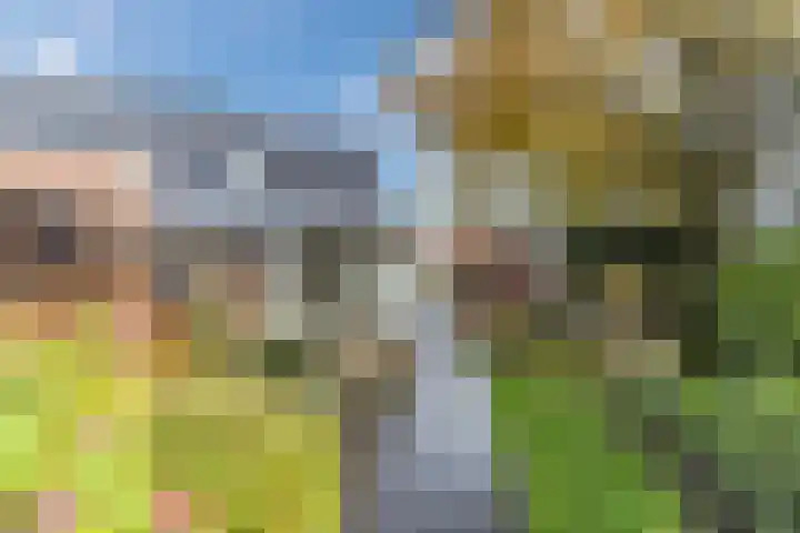 Ginderover 52 Heeze thumbnail 25