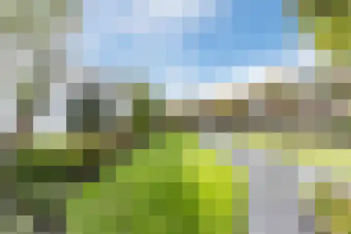 Ginderover 52 Heeze thumbnail 26