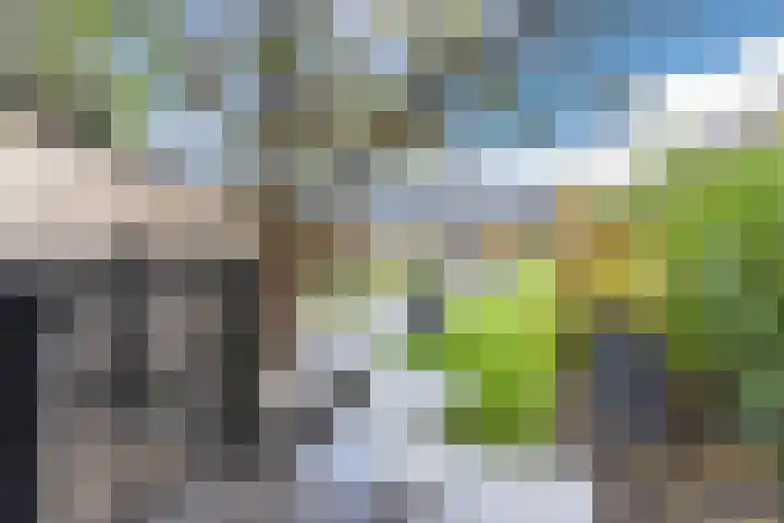Ginderover 52 Heeze thumbnail 28