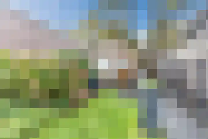 Ginderover 52 Heeze thumbnail 29