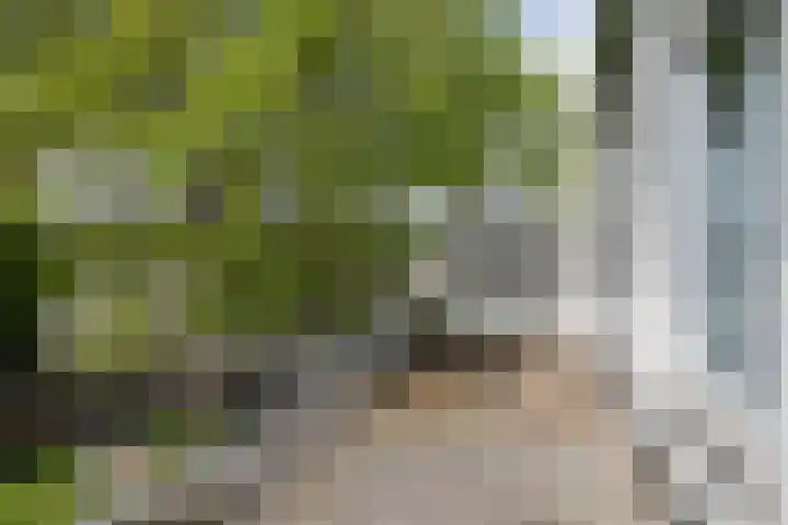 Ginnekenweg 212 Breda thumbnail 31