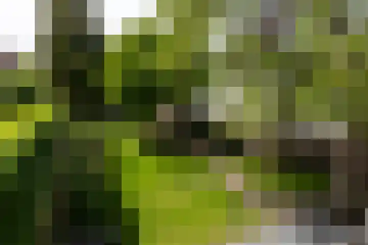 Ginnekenweg 212 Breda thumbnail 32