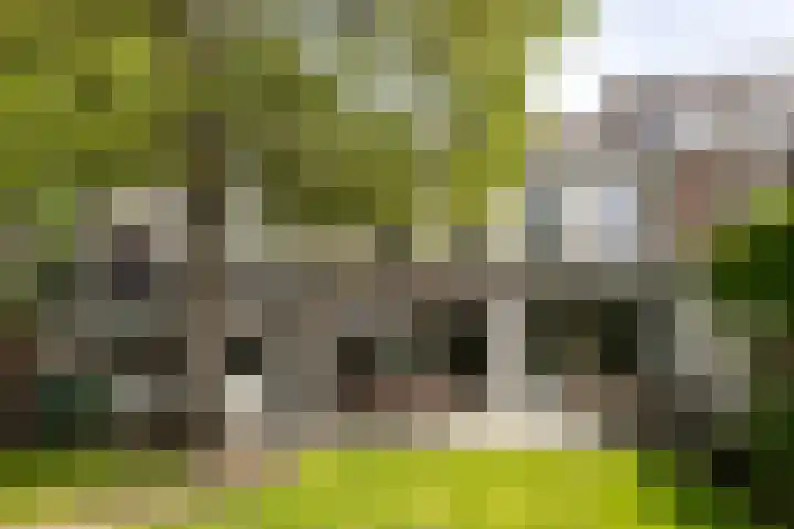 Ginnekenweg 212 Breda thumbnail 36