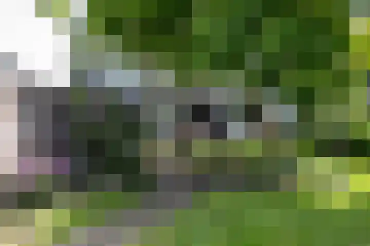 Ginnekenweg 212 Breda thumbnail 38