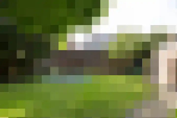Ginnekenweg 212 Breda thumbnail 39