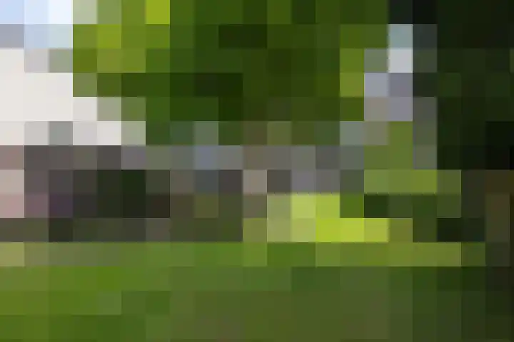 Ginnekenweg 212 Breda thumbnail 40