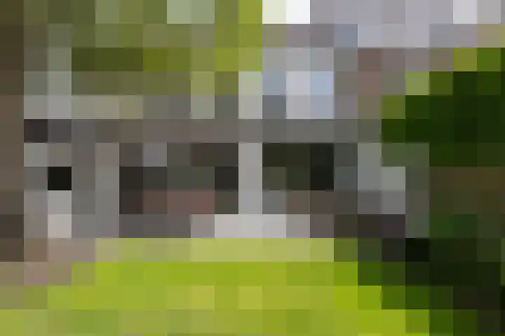 Ginnekenweg 212 Breda thumbnail 41