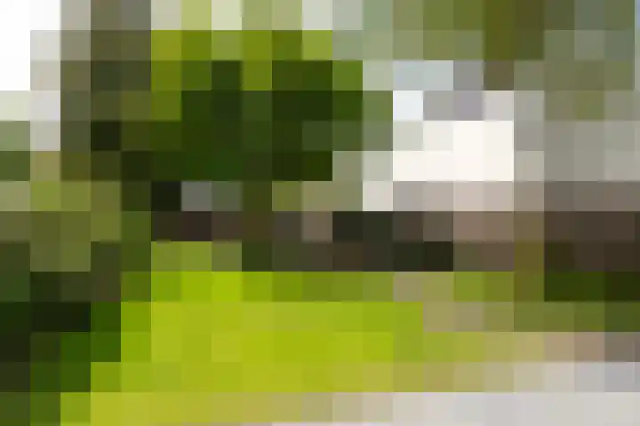 Ginnekenweg 212 Breda thumbnail 42