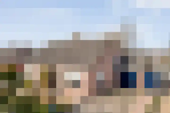 Gipskruid 6 in Nieuwleusen
