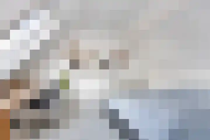 Gipskruidweg 219 Almere thumbnail 33