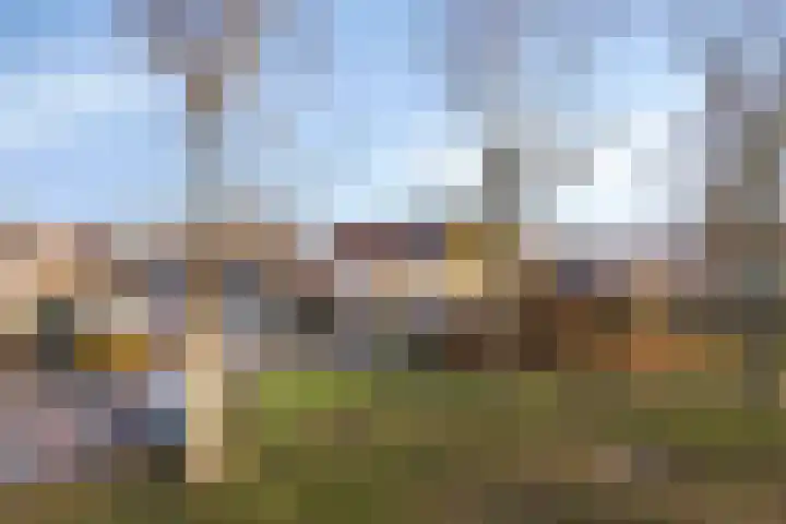 Gipskruidweg 219 Almere thumbnail 44