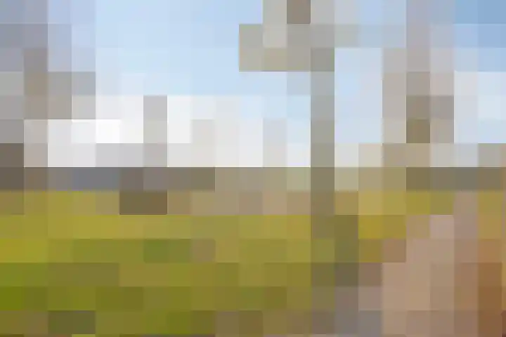 Gipskruidweg 219 Almere thumbnail 45