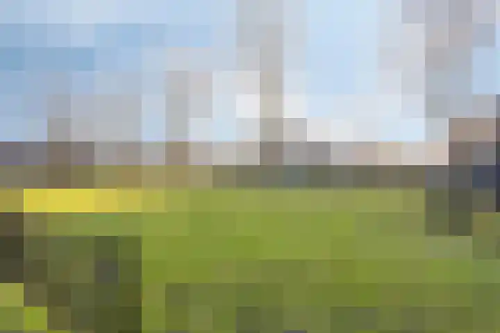 Gipskruidweg 219 Almere thumbnail 48