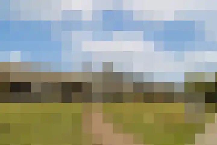 Gipskruidweg 221 Almere thumbnail 27