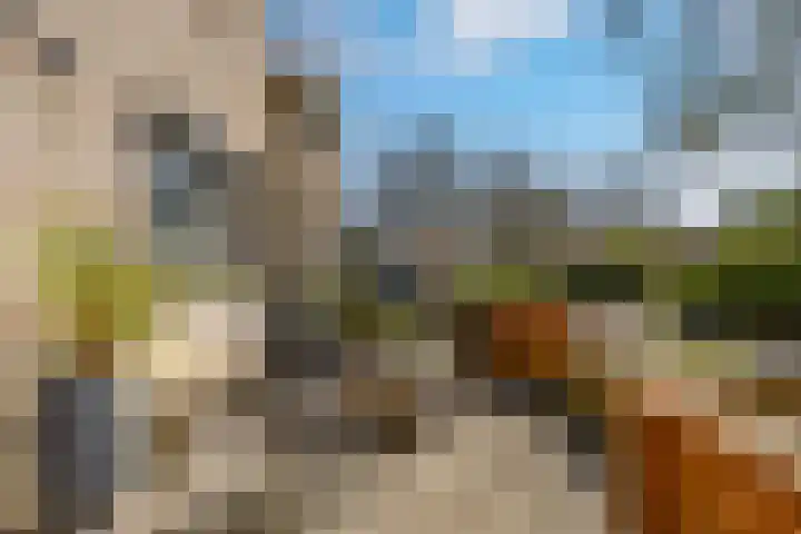 Gipskruidweg 221 Almere thumbnail 52