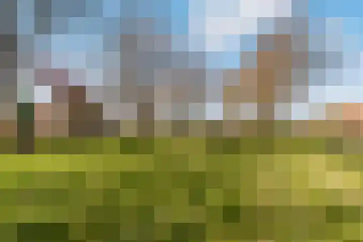 Gipskruidweg 221 Almere thumbnail 58