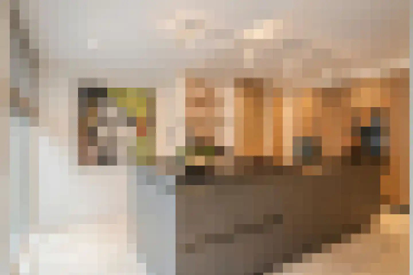 Gistel 6 Helmond thumbnail 32